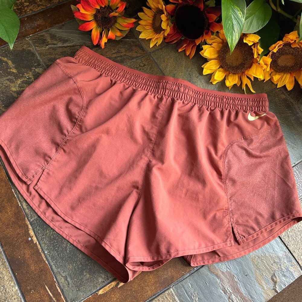 Nike Dri-Fit Running Shorts (like new)